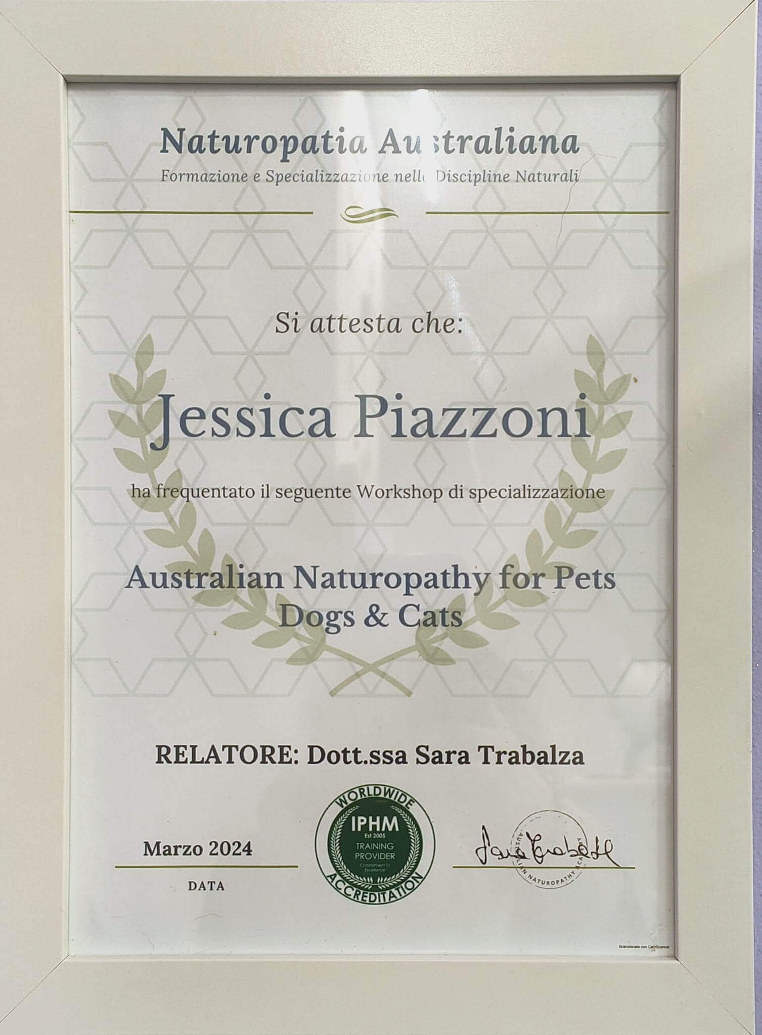 a7780741-2eb6-4268-a8ee-61b6e0c9c55f