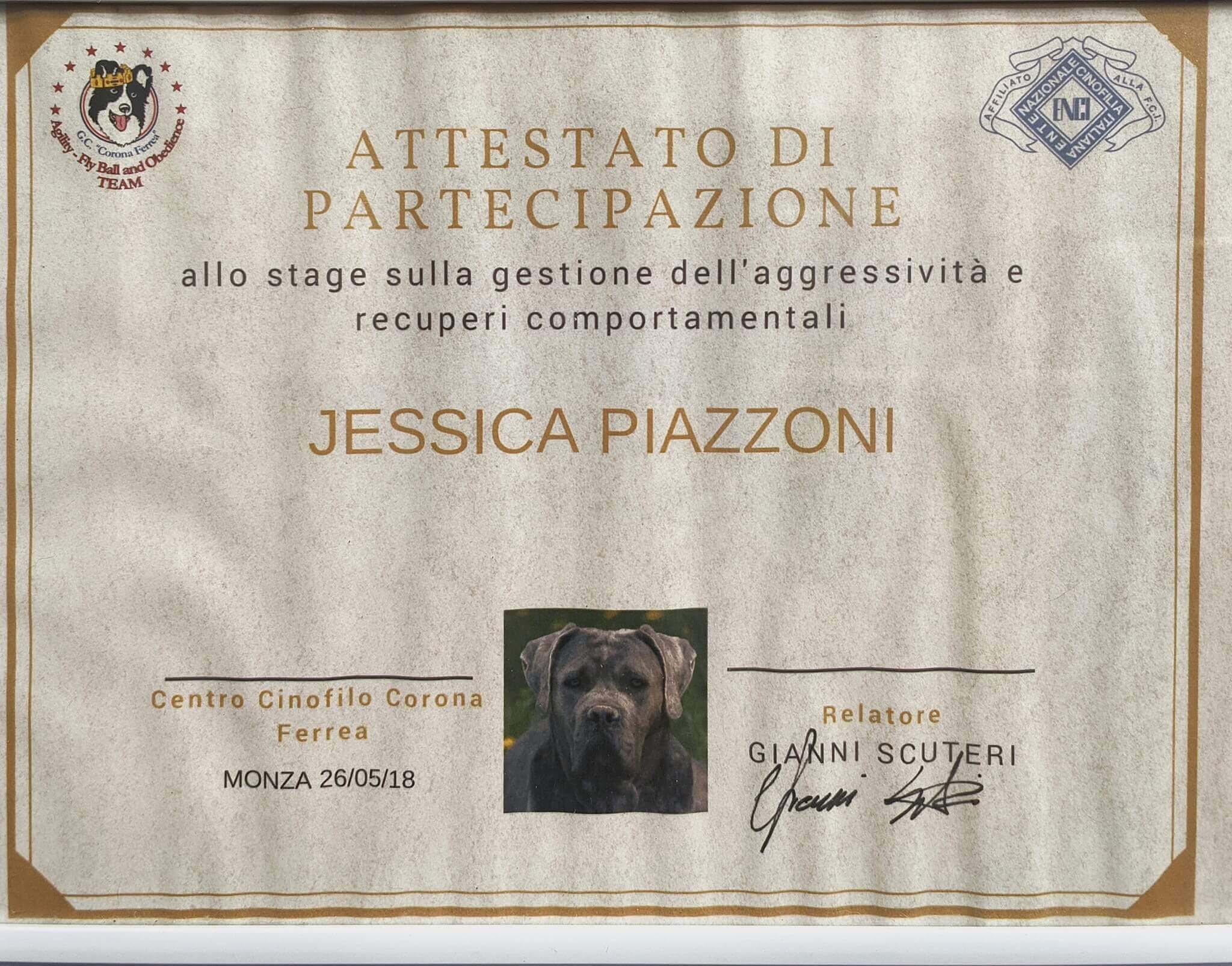 a7ff9ae0-b422-4a75-82ef-35bdd60075ba