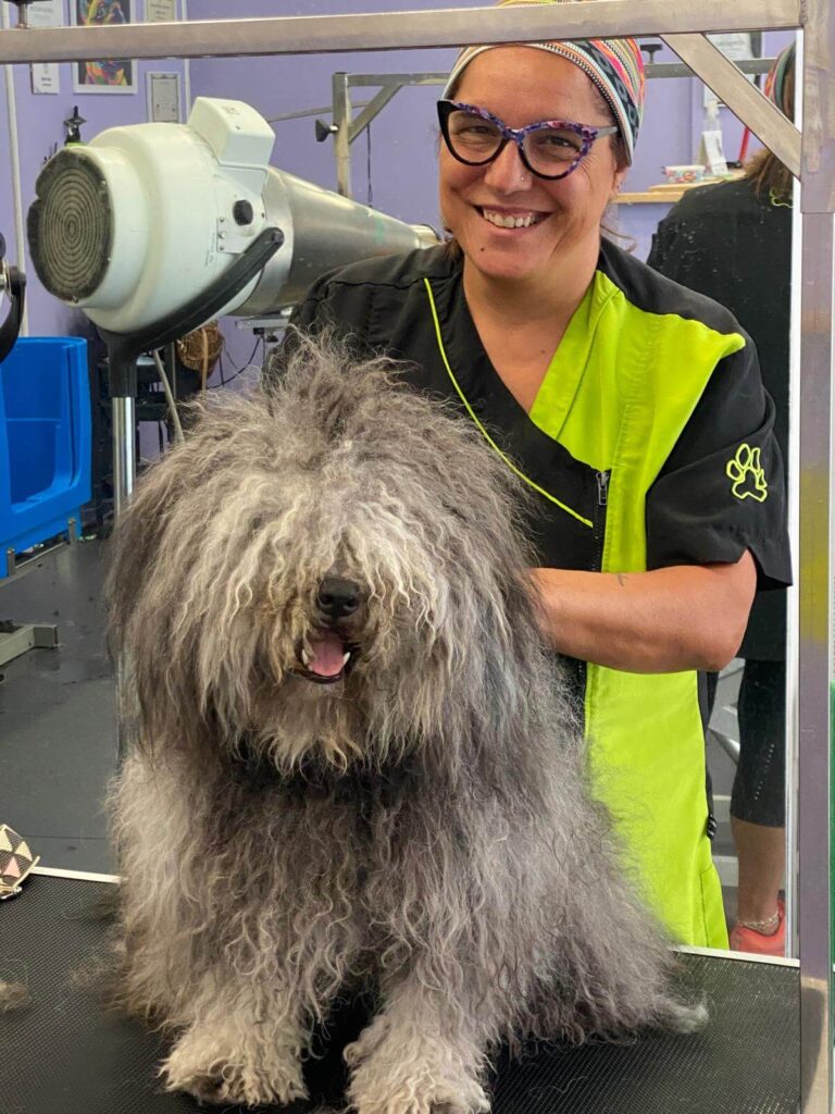 TOELETTATURA CANI BORGOMANERO